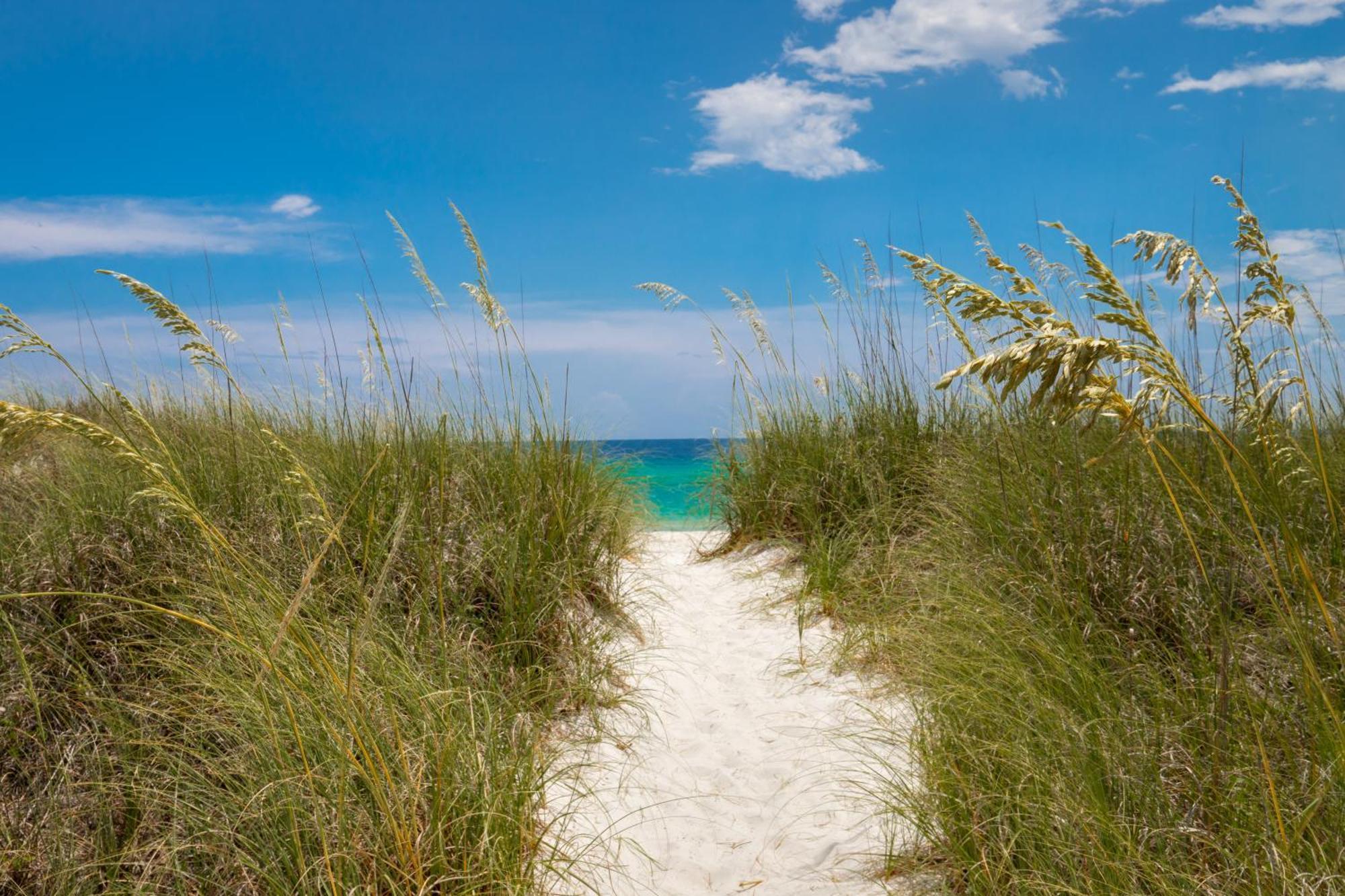 Remarkably Updated 3/2 In Seagrove Highlands - Gulf Views Sleeps 9! Santa Rosa Beach Zewnętrze zdjęcie